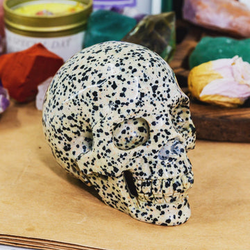 Dalmation Jasper Skull